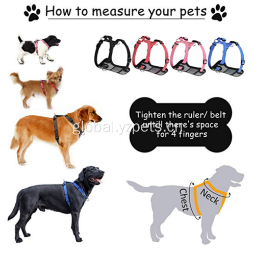 Reflective Pet Dog Harness Adjustable Nylon Training Soft Reflective Pet Dog Harness Manufactory